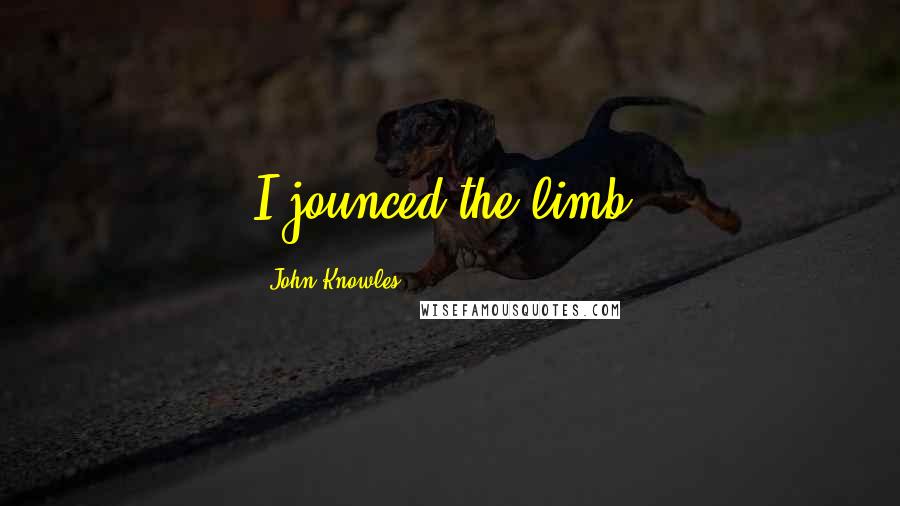 John Knowles Quotes: I jounced the limb.