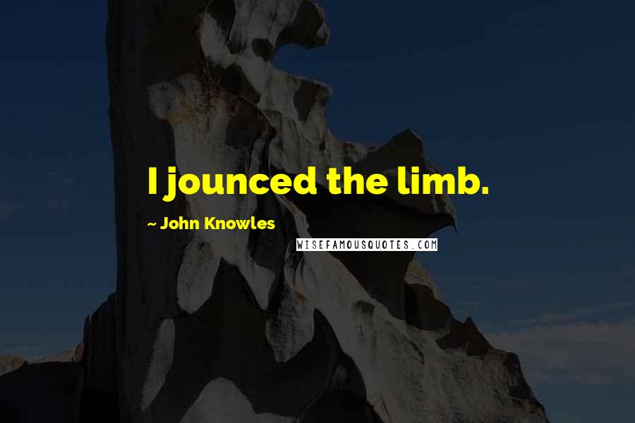 John Knowles Quotes: I jounced the limb.