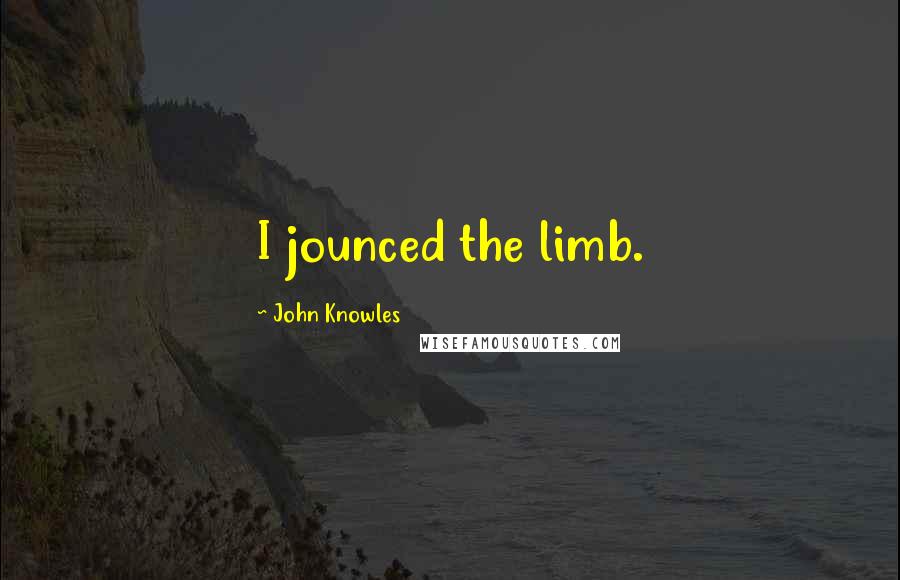 John Knowles Quotes: I jounced the limb.