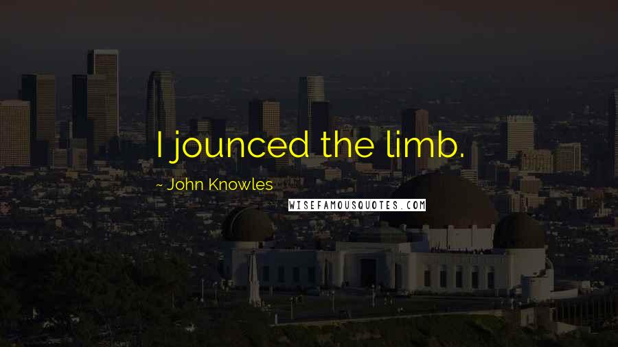 John Knowles Quotes: I jounced the limb.
