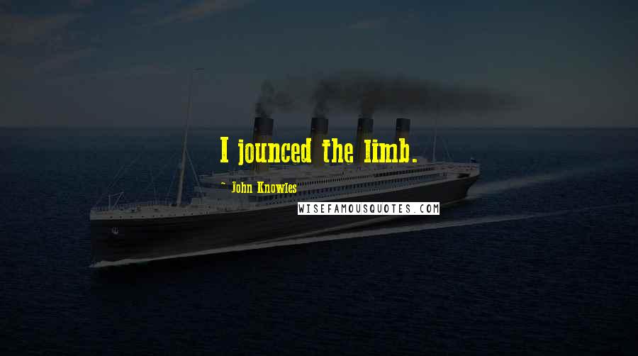 John Knowles Quotes: I jounced the limb.