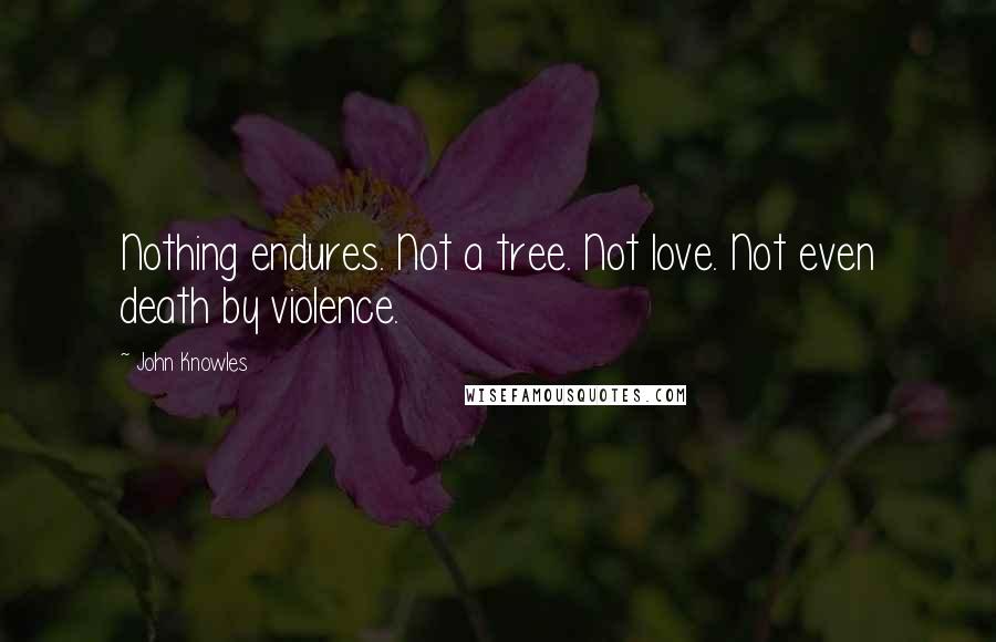 John Knowles Quotes: Nothing endures. Not a tree. Not love. Not even death by violence.