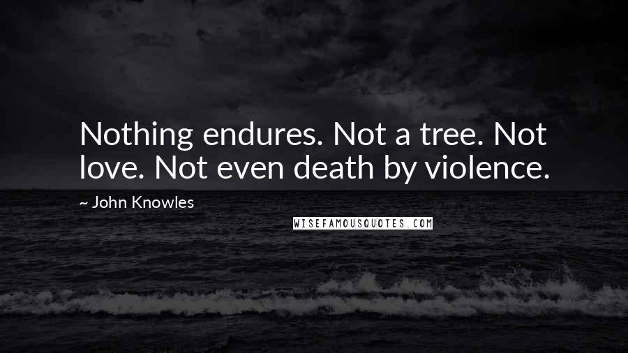 John Knowles Quotes: Nothing endures. Not a tree. Not love. Not even death by violence.