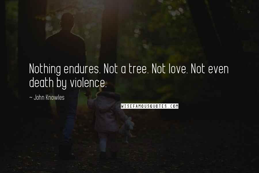 John Knowles Quotes: Nothing endures. Not a tree. Not love. Not even death by violence.