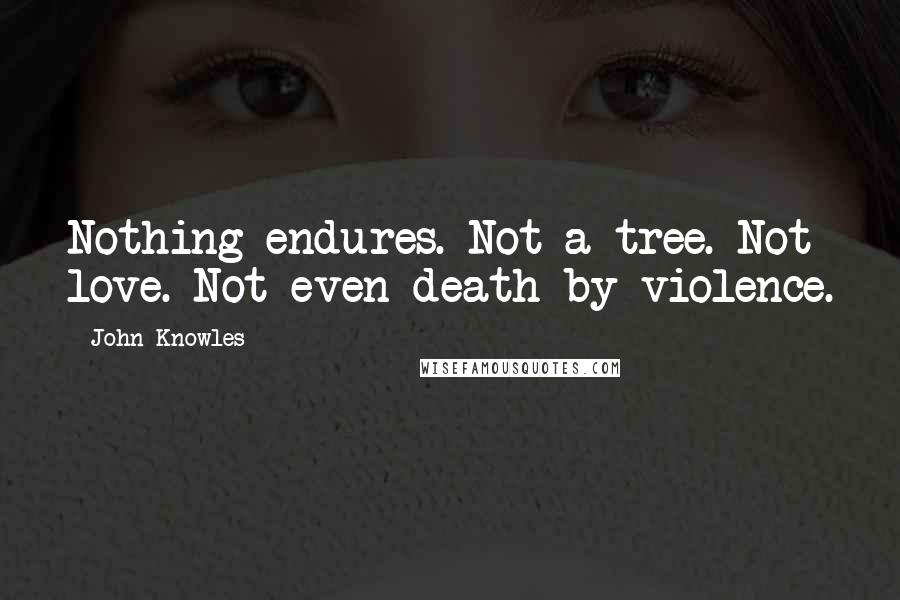 John Knowles Quotes: Nothing endures. Not a tree. Not love. Not even death by violence.