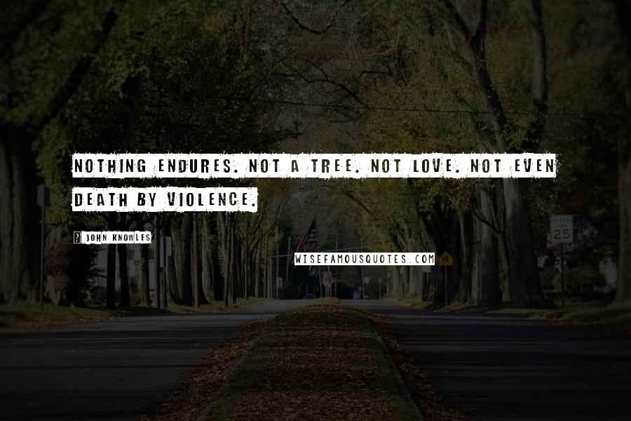 John Knowles Quotes: Nothing endures. Not a tree. Not love. Not even death by violence.