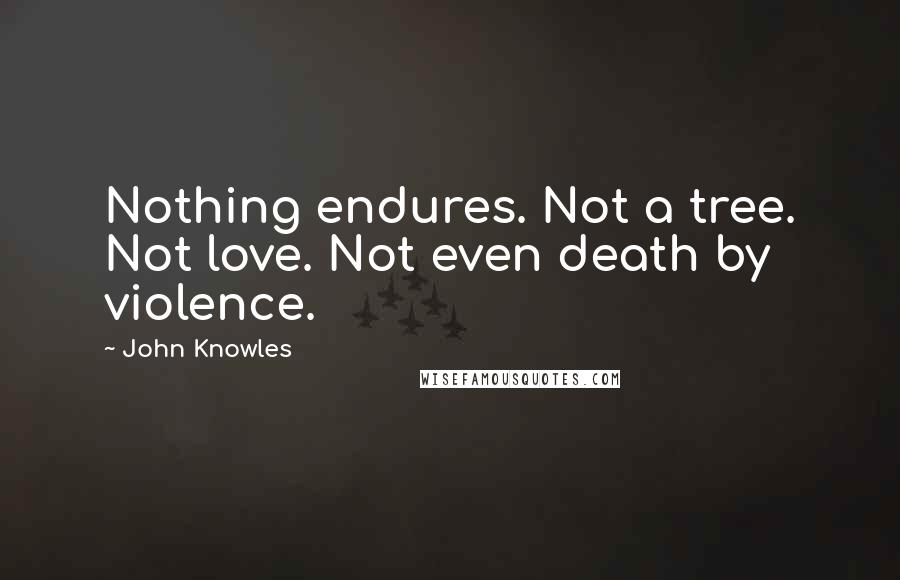 John Knowles Quotes: Nothing endures. Not a tree. Not love. Not even death by violence.