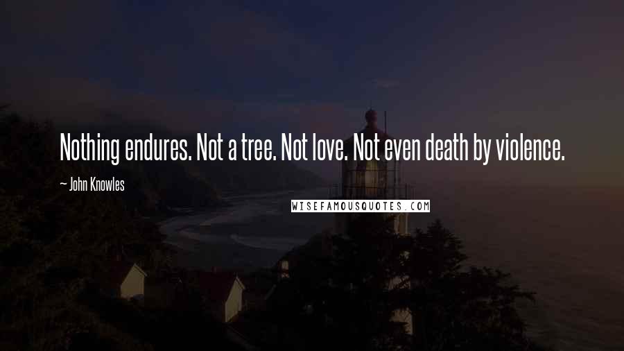 John Knowles Quotes: Nothing endures. Not a tree. Not love. Not even death by violence.