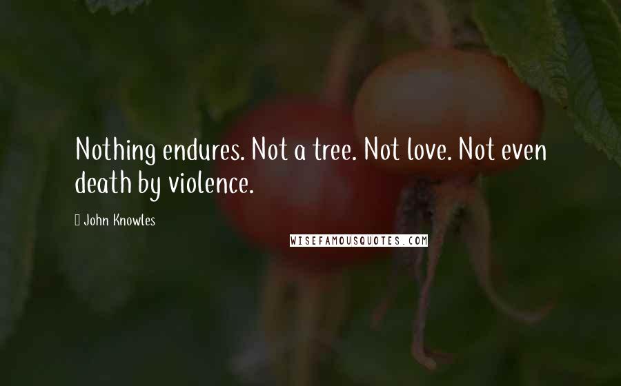 John Knowles Quotes: Nothing endures. Not a tree. Not love. Not even death by violence.