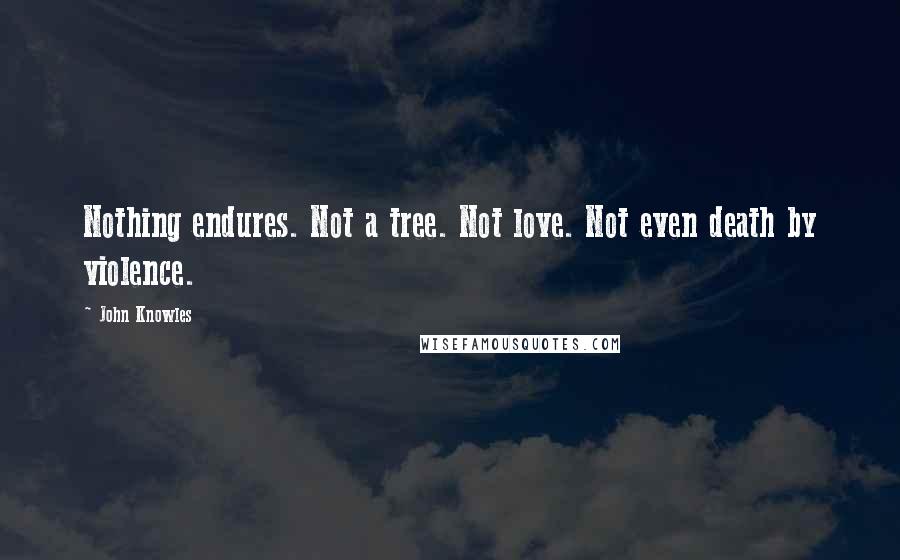 John Knowles Quotes: Nothing endures. Not a tree. Not love. Not even death by violence.