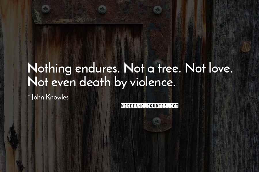 John Knowles Quotes: Nothing endures. Not a tree. Not love. Not even death by violence.