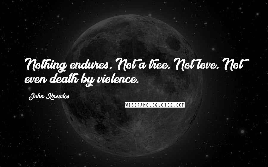 John Knowles Quotes: Nothing endures. Not a tree. Not love. Not even death by violence.