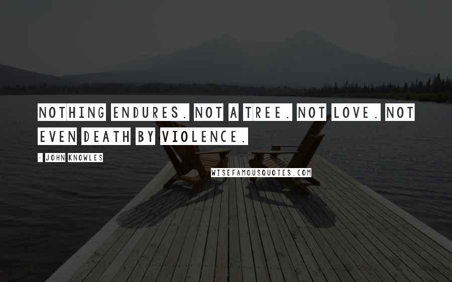 John Knowles Quotes: Nothing endures. Not a tree. Not love. Not even death by violence.