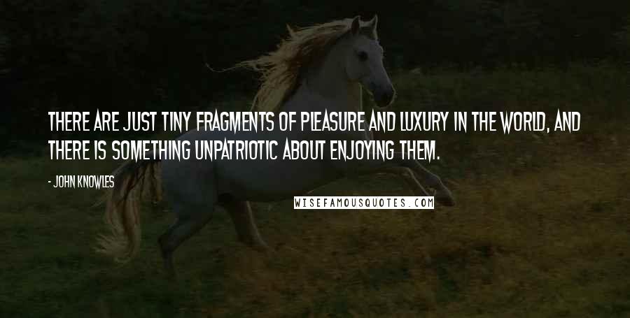 John Knowles Quotes: There are just tiny fragments of pleasure and luxury in the world, and there is something unpatriotic about enjoying them.