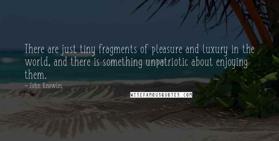 John Knowles Quotes: There are just tiny fragments of pleasure and luxury in the world, and there is something unpatriotic about enjoying them.