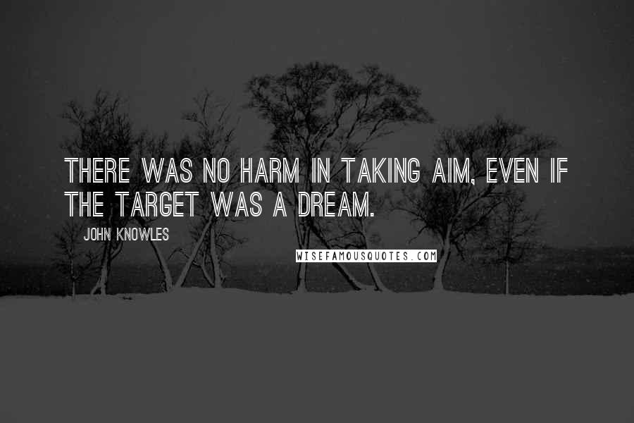 John Knowles Quotes: There was no harm in taking aim, even if the target was a dream.