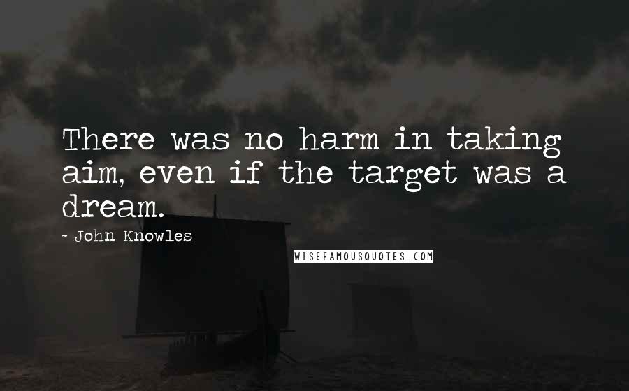 John Knowles Quotes: There was no harm in taking aim, even if the target was a dream.