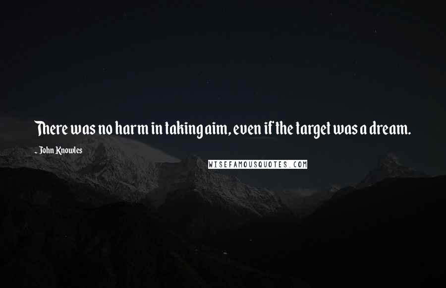 John Knowles Quotes: There was no harm in taking aim, even if the target was a dream.