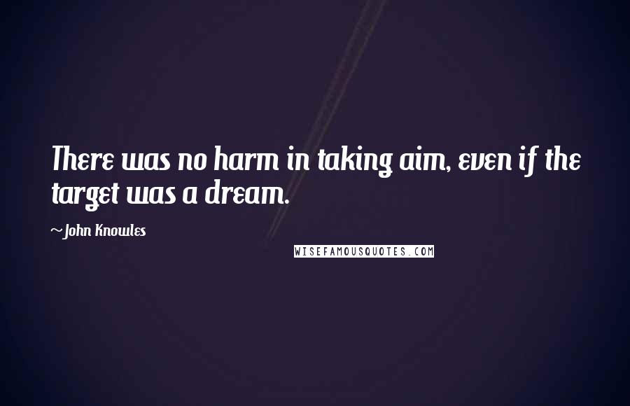 John Knowles Quotes: There was no harm in taking aim, even if the target was a dream.