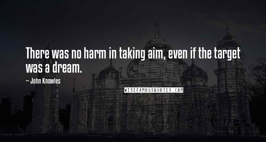 John Knowles Quotes: There was no harm in taking aim, even if the target was a dream.