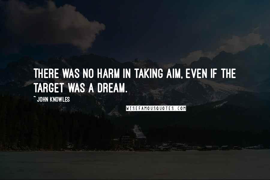 John Knowles Quotes: There was no harm in taking aim, even if the target was a dream.