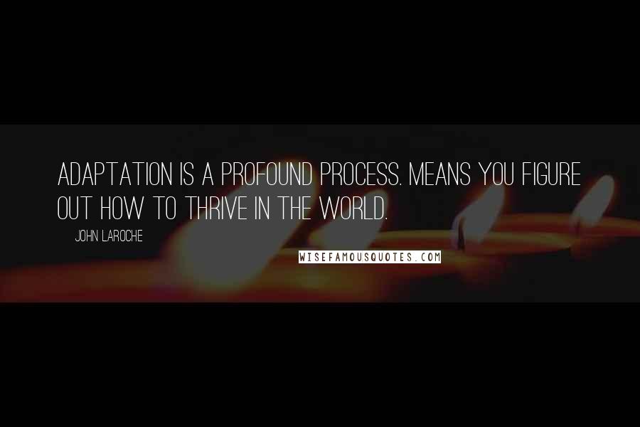 John Laroche Quotes: Adaptation is a profound process. Means you figure out how to thrive in the world.