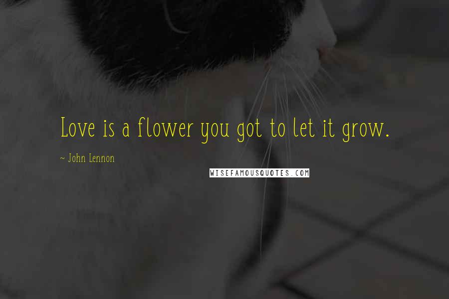 John Lennon Quotes: Love is a flower you got to let it grow.