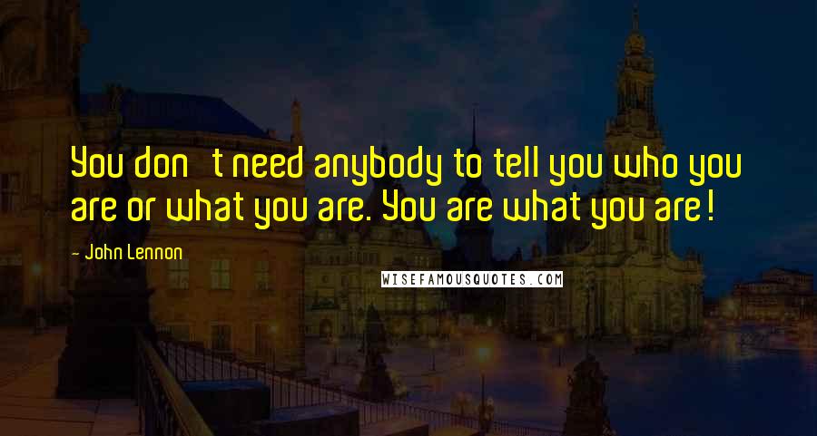 John Lennon Quotes: You don't need anybody to tell you who you are or what you are. You are what you are!