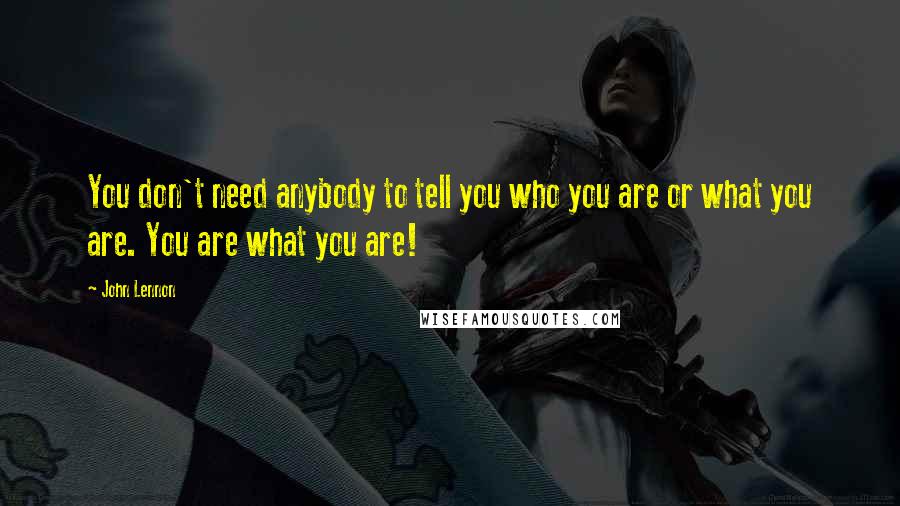 John Lennon Quotes: You don't need anybody to tell you who you are or what you are. You are what you are!