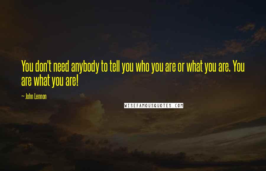 John Lennon Quotes: You don't need anybody to tell you who you are or what you are. You are what you are!