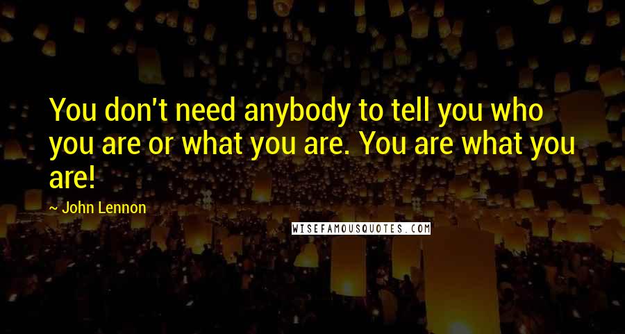 John Lennon Quotes: You don't need anybody to tell you who you are or what you are. You are what you are!