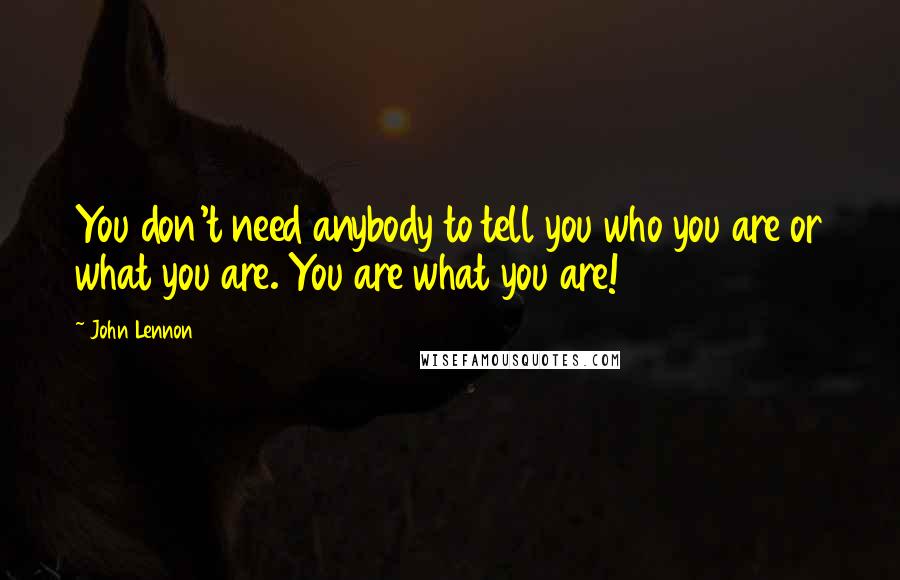 John Lennon Quotes: You don't need anybody to tell you who you are or what you are. You are what you are!