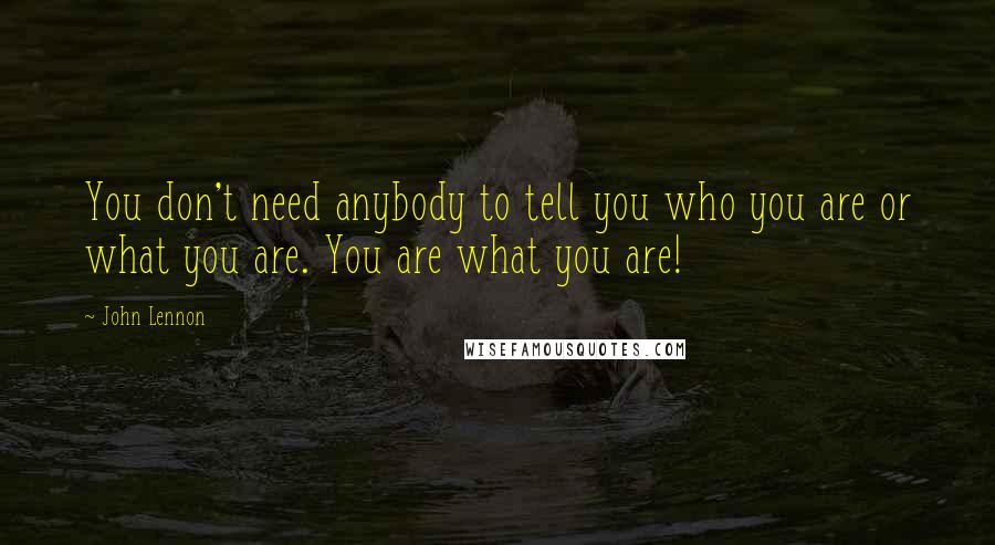 John Lennon Quotes: You don't need anybody to tell you who you are or what you are. You are what you are!
