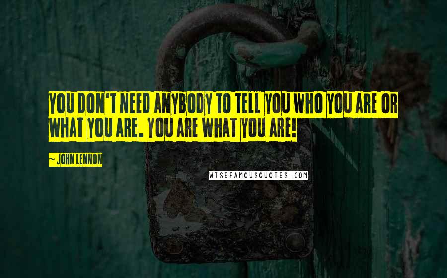 John Lennon Quotes: You don't need anybody to tell you who you are or what you are. You are what you are!