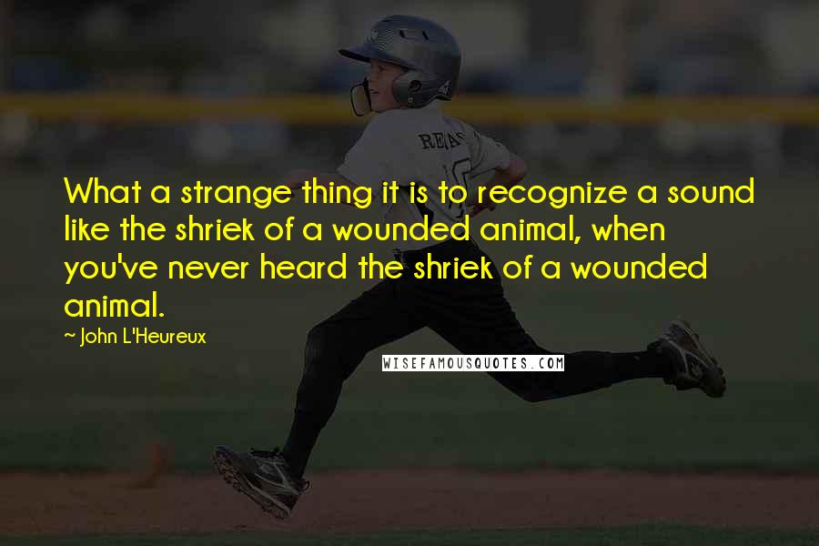 John L'Heureux Quotes: What a strange thing it is to recognize a sound like the shriek of a wounded animal, when you've never heard the shriek of a wounded animal.