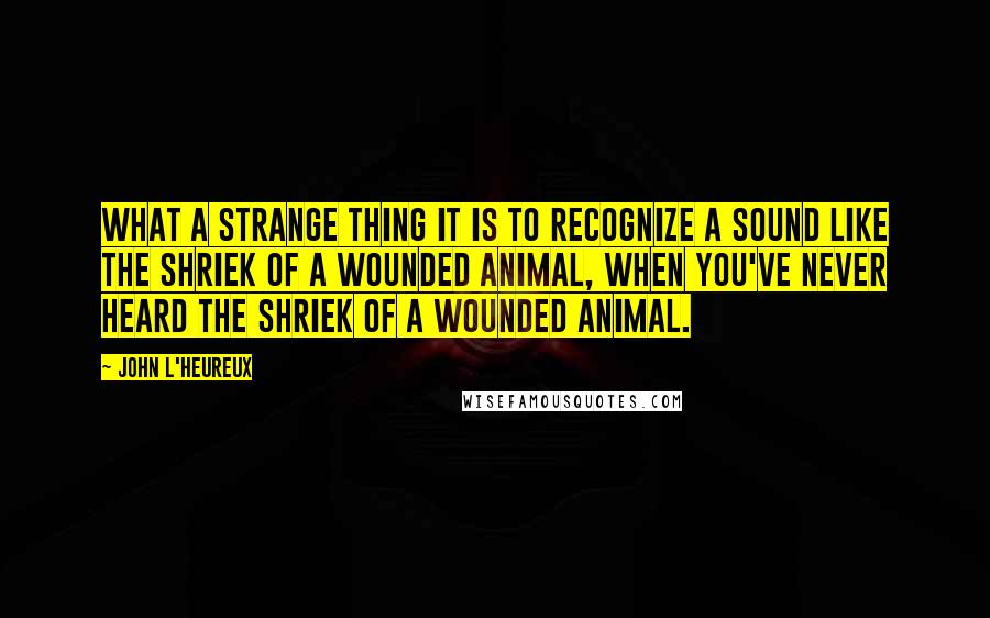 John L'Heureux Quotes: What a strange thing it is to recognize a sound like the shriek of a wounded animal, when you've never heard the shriek of a wounded animal.