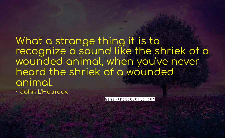 John L'Heureux Quotes: What a strange thing it is to recognize a sound like the shriek of a wounded animal, when you've never heard the shriek of a wounded animal.