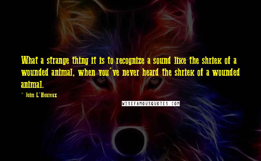 John L'Heureux Quotes: What a strange thing it is to recognize a sound like the shriek of a wounded animal, when you've never heard the shriek of a wounded animal.