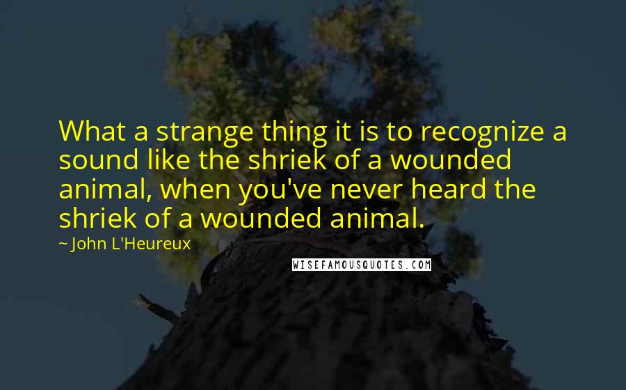 John L'Heureux Quotes: What a strange thing it is to recognize a sound like the shriek of a wounded animal, when you've never heard the shriek of a wounded animal.