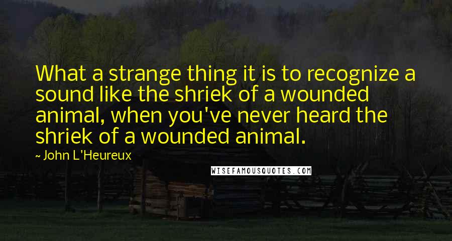 John L'Heureux Quotes: What a strange thing it is to recognize a sound like the shriek of a wounded animal, when you've never heard the shriek of a wounded animal.