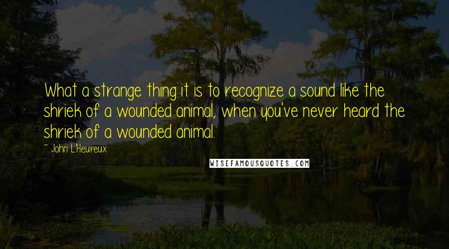 John L'Heureux Quotes: What a strange thing it is to recognize a sound like the shriek of a wounded animal, when you've never heard the shriek of a wounded animal.