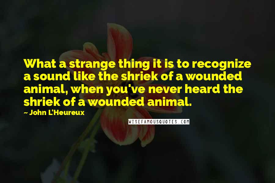 John L'Heureux Quotes: What a strange thing it is to recognize a sound like the shriek of a wounded animal, when you've never heard the shriek of a wounded animal.
