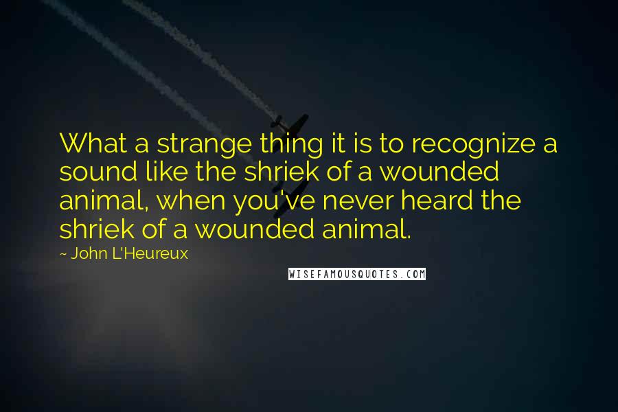 John L'Heureux Quotes: What a strange thing it is to recognize a sound like the shriek of a wounded animal, when you've never heard the shriek of a wounded animal.