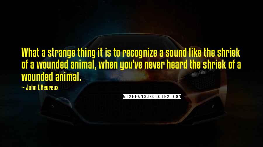 John L'Heureux Quotes: What a strange thing it is to recognize a sound like the shriek of a wounded animal, when you've never heard the shriek of a wounded animal.