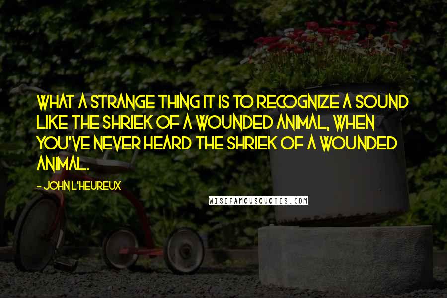 John L'Heureux Quotes: What a strange thing it is to recognize a sound like the shriek of a wounded animal, when you've never heard the shriek of a wounded animal.