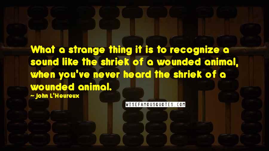 John L'Heureux Quotes: What a strange thing it is to recognize a sound like the shriek of a wounded animal, when you've never heard the shriek of a wounded animal.