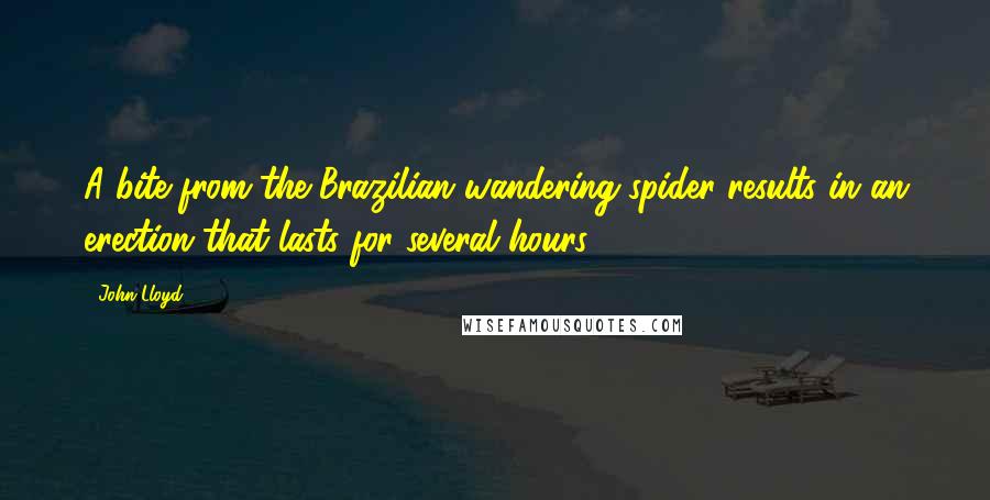 John Lloyd Quotes: A bite from the Brazilian wandering spider results in an erection that lasts for several hours.