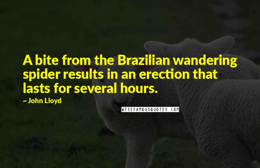 John Lloyd Quotes: A bite from the Brazilian wandering spider results in an erection that lasts for several hours.