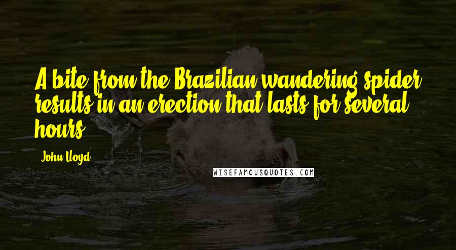 John Lloyd Quotes: A bite from the Brazilian wandering spider results in an erection that lasts for several hours.