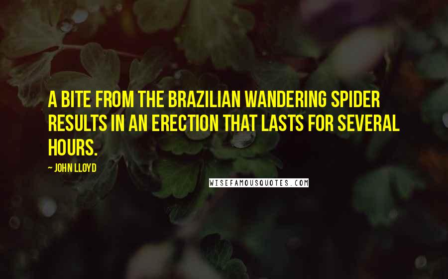 John Lloyd Quotes: A bite from the Brazilian wandering spider results in an erection that lasts for several hours.
